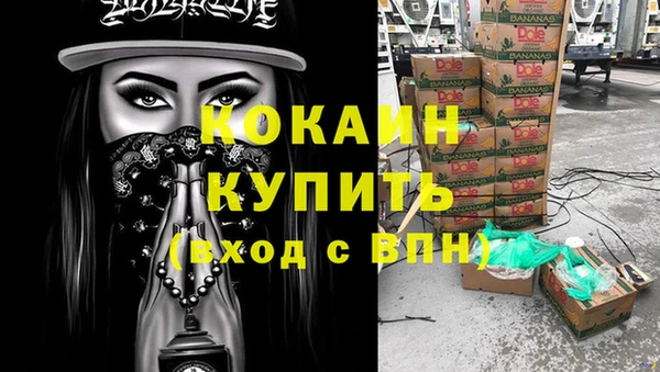 сатива Богородицк