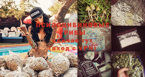 бошки Богданович