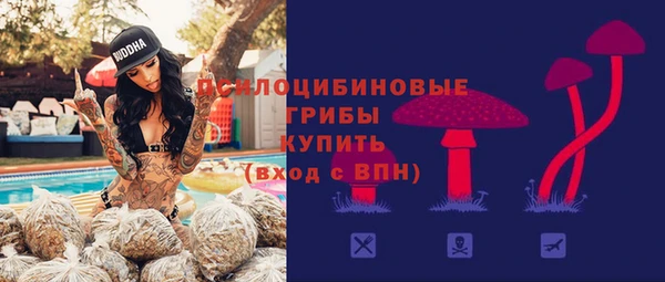 дмт Бронницы