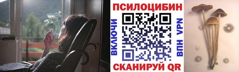 наркота  мориарти Telegram  Псилоцибиновые грибы Psilocybine cubensis  Ковылкино 